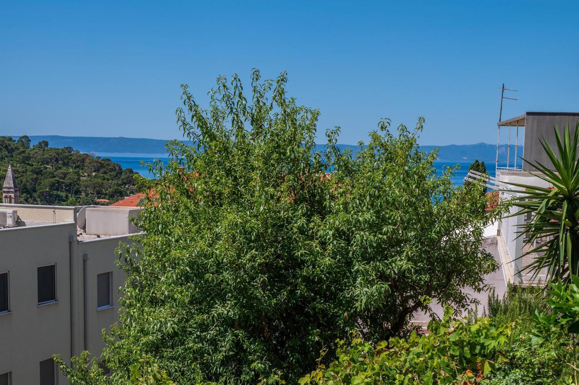 Apartmani Sani Μακάρσκα Εξωτερικό φωτογραφία